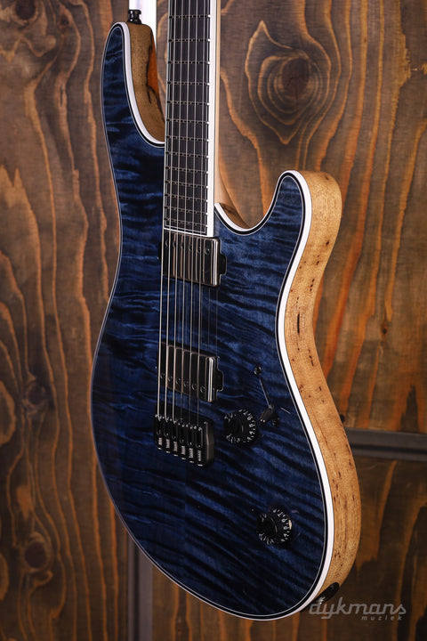 Mayones Regius 6 Trans Dirty Blue