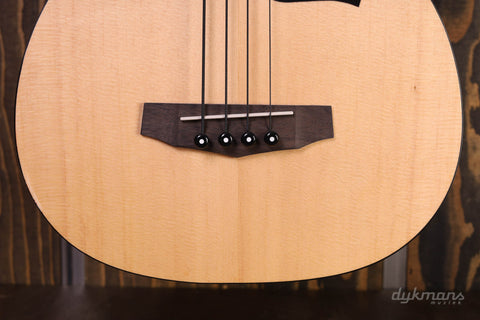 Ibanez PCBE12OPN Acoustic Bass