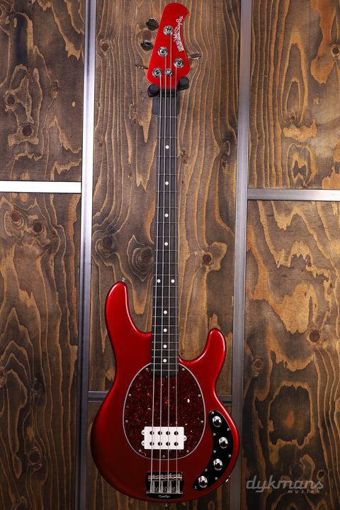 Music Man Stingray Special Candyman