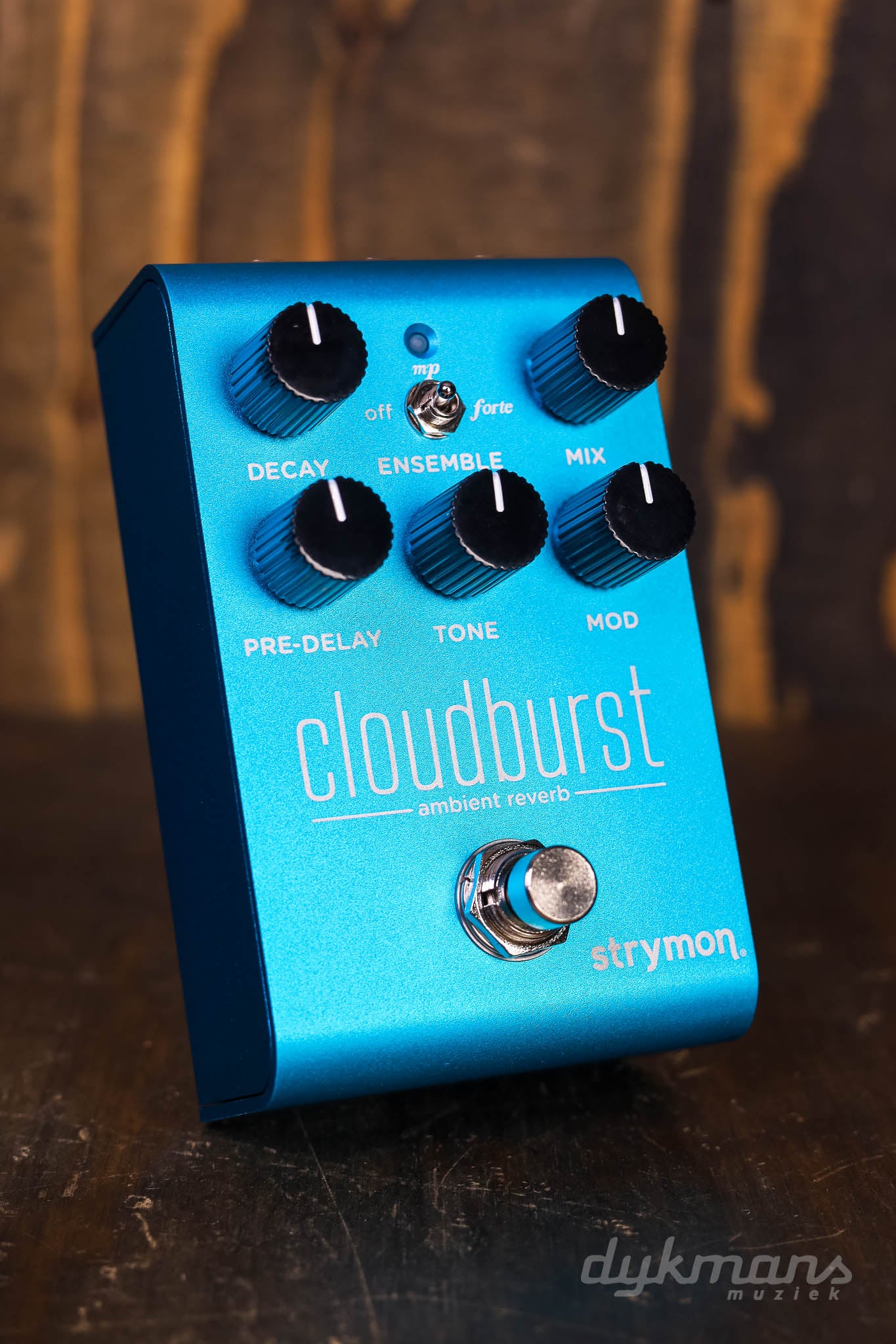 Strymon Cloudburst - 器材